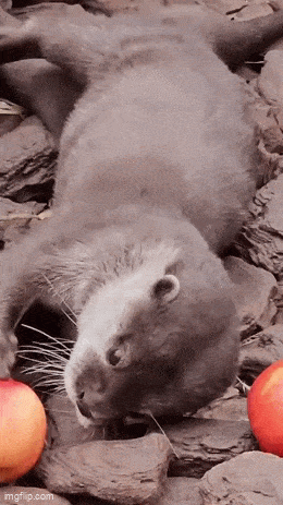 Acid GIFs, May 19 (25 gifs) Acid GIFs, May 19 (25 gifs)