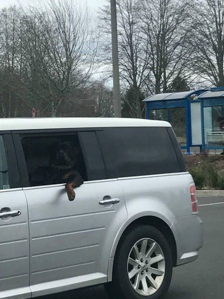 Daily Pictures. Part 2 (59 pics)