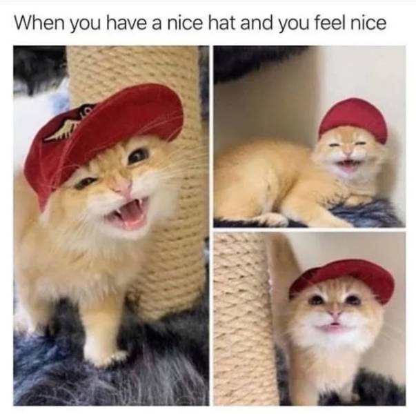 Daily Pictures. Part 2 (59 pics)