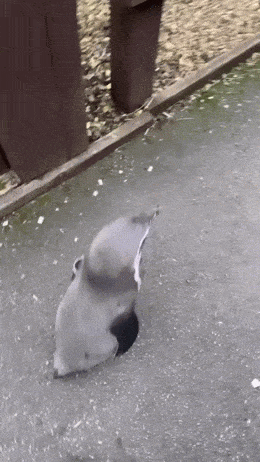 Acid GIFs, May 20 (25 gifs) Acid GIFs, May 20 (25 gifs)