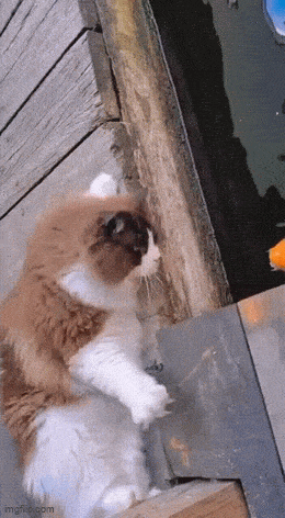 Acid GIFs, May 20 (25 gifs) Acid GIFs, May 20 (25 gifs)