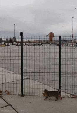 Acid GIFs, May 20 (25 gifs) Acid GIFs, May 20 (25 gifs)
