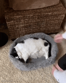 Acid GIFs, May 20 (25 gifs) Acid GIFs, May 20 (25 gifs)
