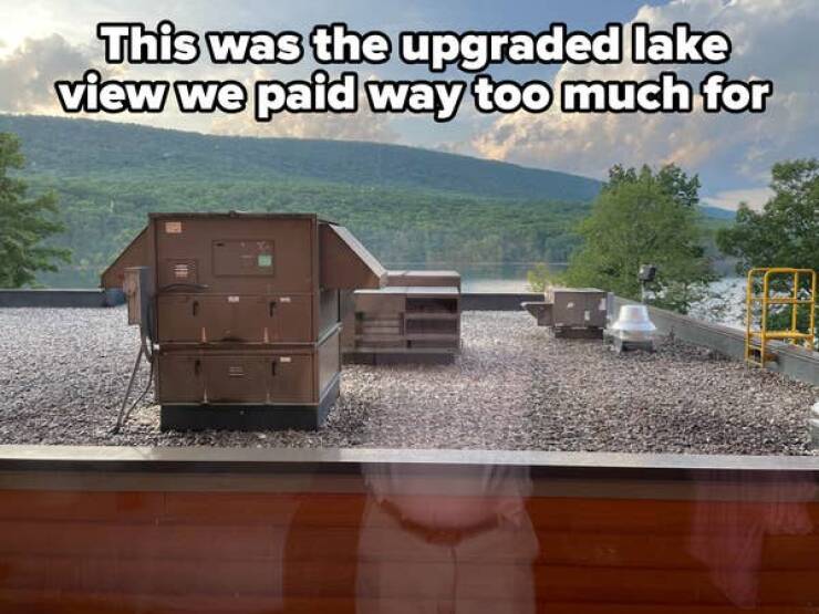 Unsuccessful Purchases (24 pics)