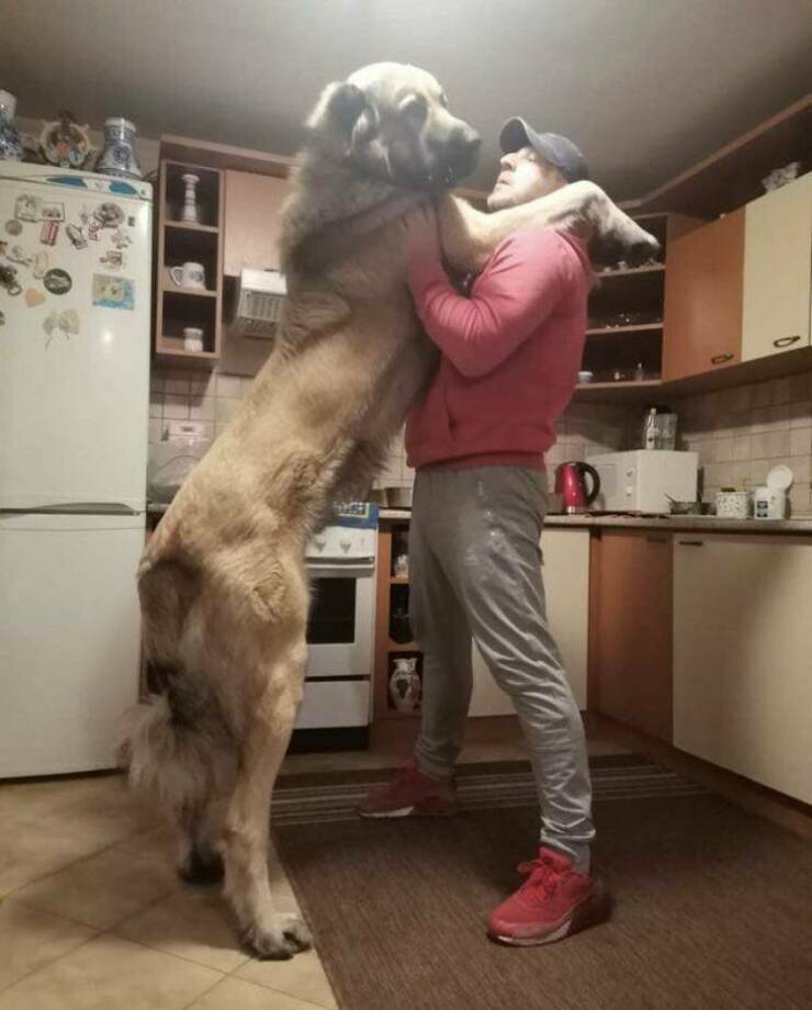Daily Pictures. Part 1 (63 pics)