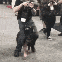Acid GIFs, May 21 (25 gifs) Acid GIFs, May 21 (25 gifs)
