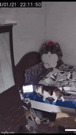 Acid GIFs, May 21 (25 gifs) Acid GIFs, May 21 (25 gifs)