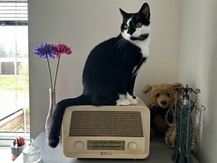Rare Devices From The Past (20 pics)