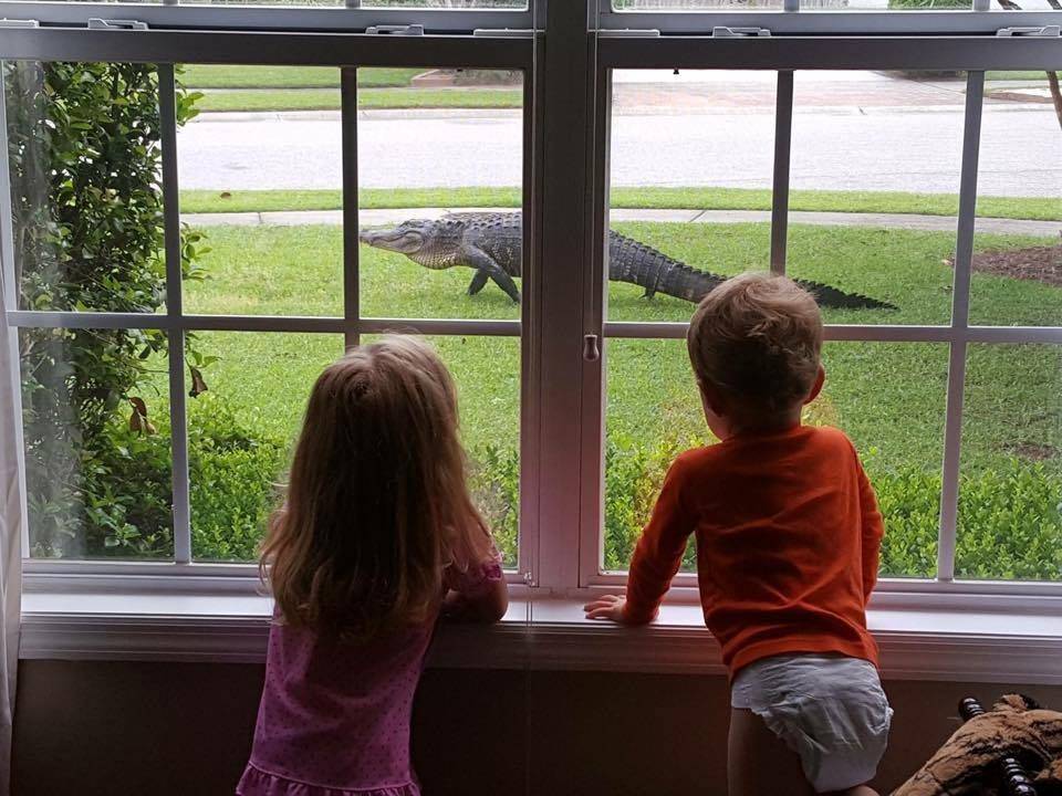 Bad Days Happen (26 pics)