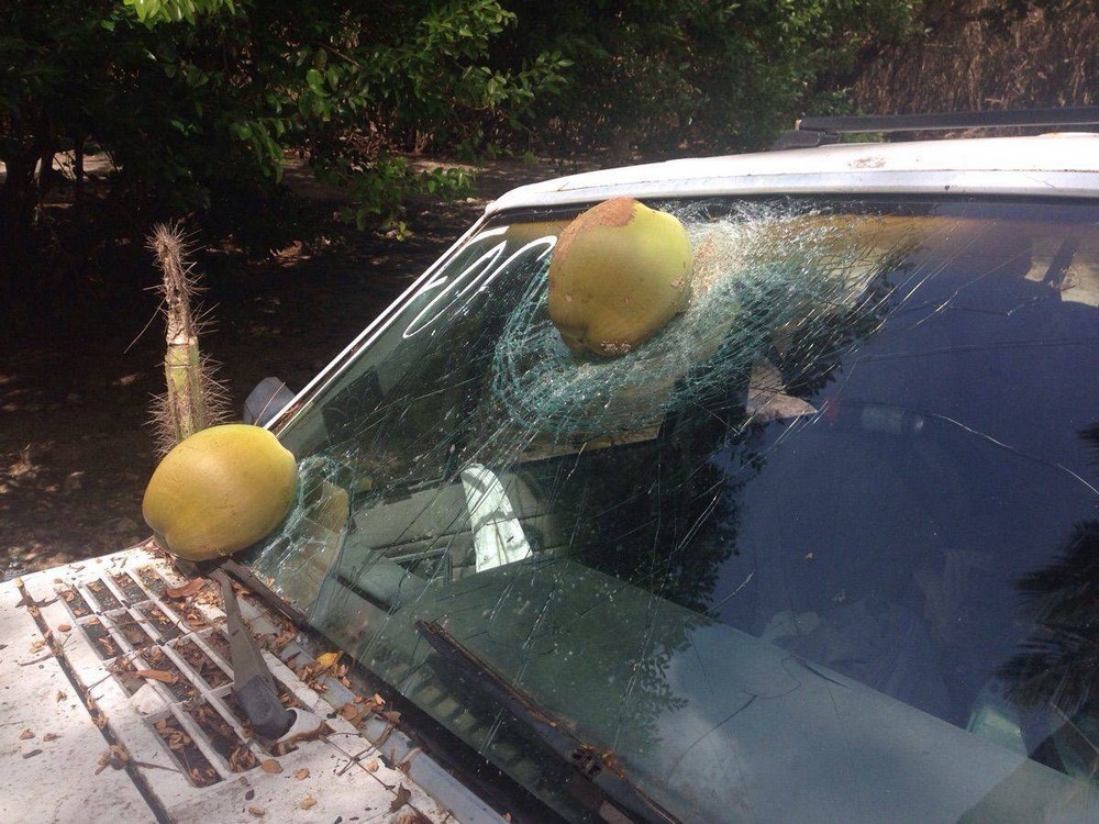 Bad Days Happen (26 pics)