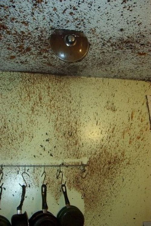 Culinary Fails (20 pics)