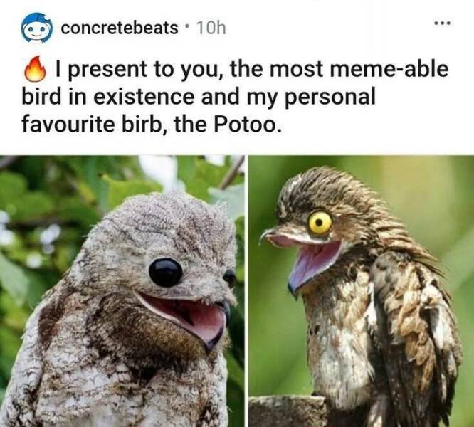 Daily Pictures. Part 2 (64 pics)