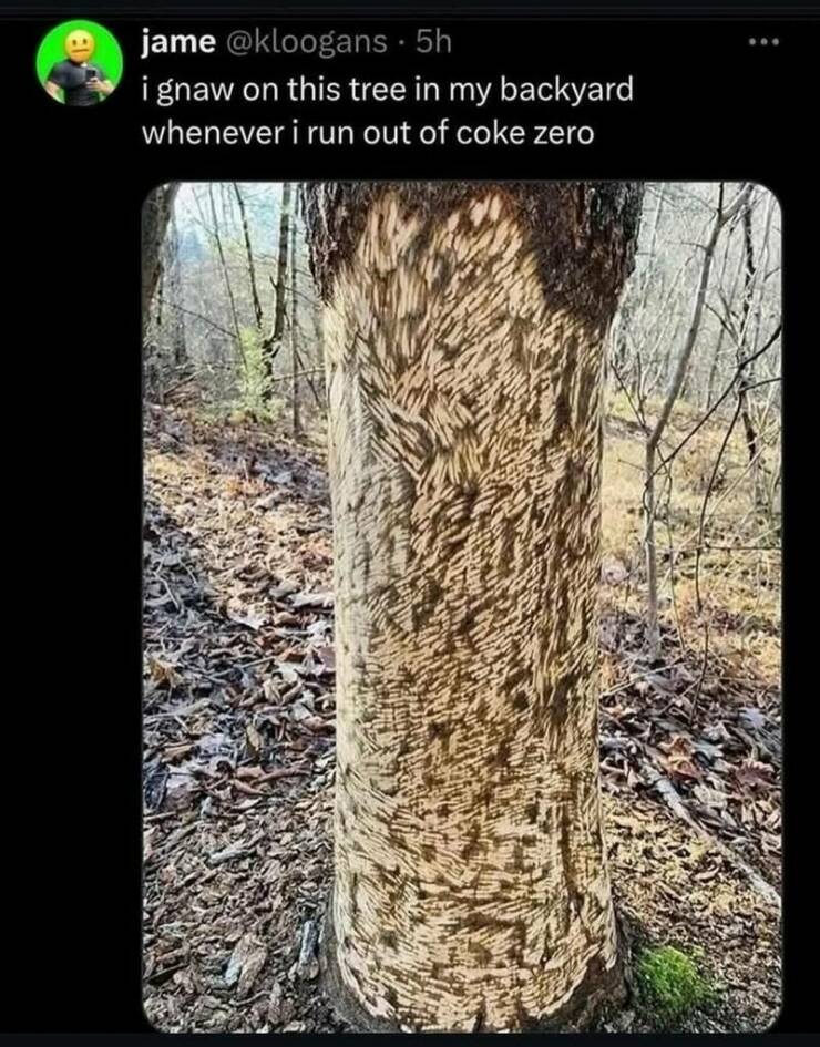 Daily Pictures. Part 2 (64 pics)