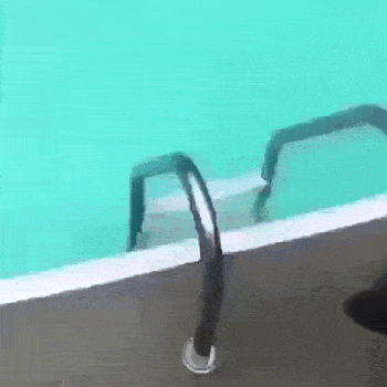 Acid GIFs, May 22 (25 gifs)