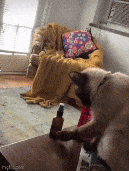Acid GIFs, May 22 (25 gifs) Acid GIFs, May 22 (25 gifs)