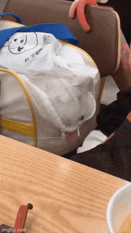 Acid GIFs, May 22 (25 gifs) Acid GIFs, May 22 (25 gifs)