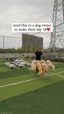 Acid GIFs, May 22 (25 gifs) Acid GIFs, May 22 (25 gifs)