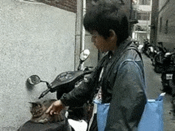 Acid GIFs, May 22 (25 gifs) Acid GIFs, May 22 (25 gifs)