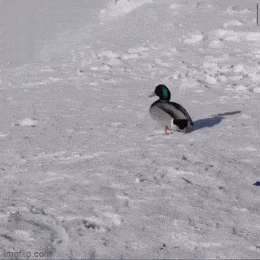 Acid GIFs, May 22 (25 gifs) Acid GIFs, May 22 (25 gifs)