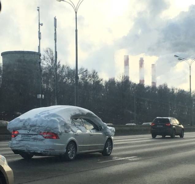 Lazy People (25 pics)