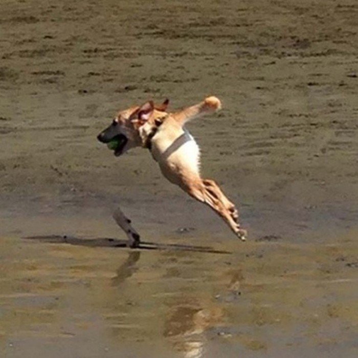 Failed Panoramic Photos (23 pics)