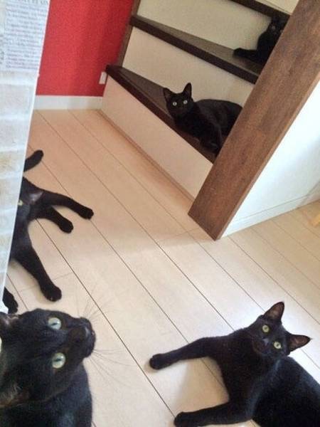 Unexpected Coincidences (21 pics)
