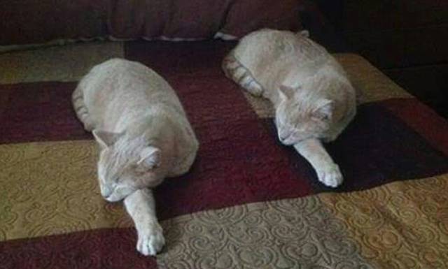 Unexpected Coincidences (21 pics)