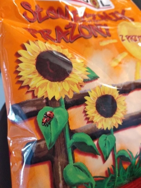 Easter Eggs In Real Life (20 pics)