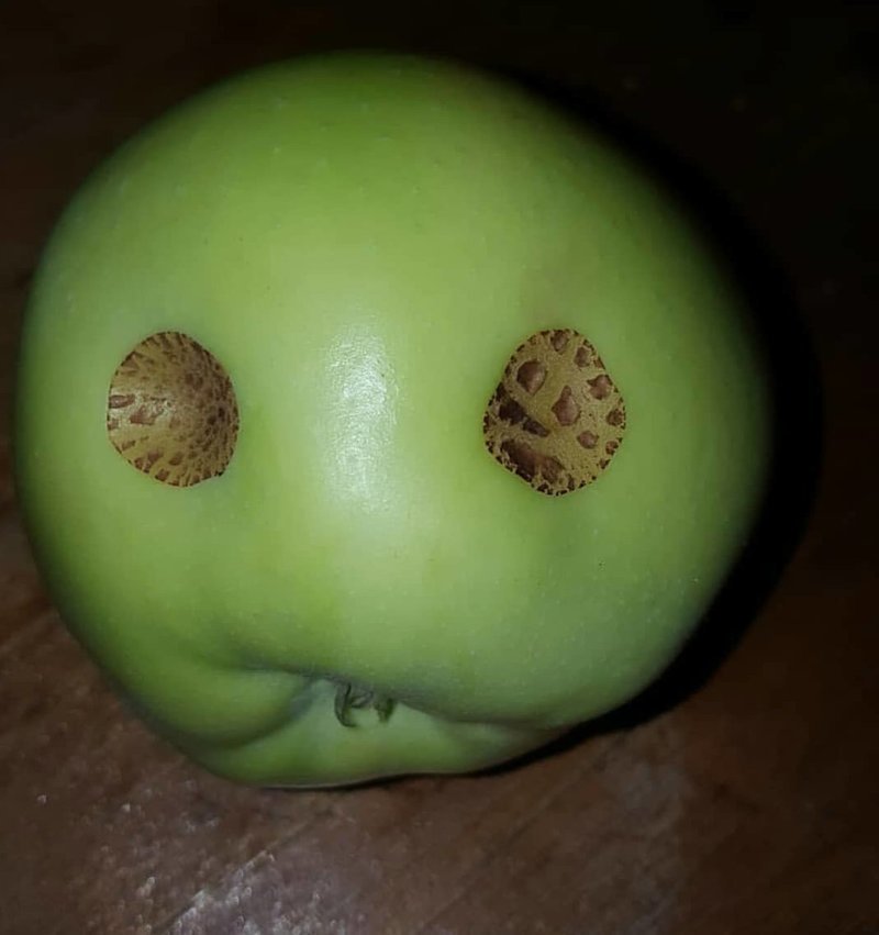 This Is Pareidolia (21 pics)