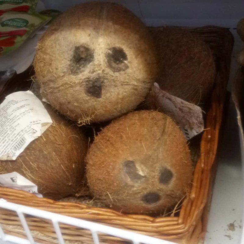 This Is Pareidolia (21 pics)