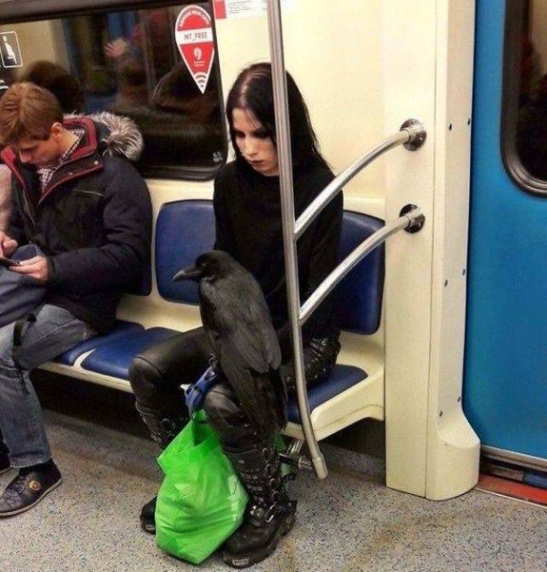 Strange People On Public Transport (23 pics)