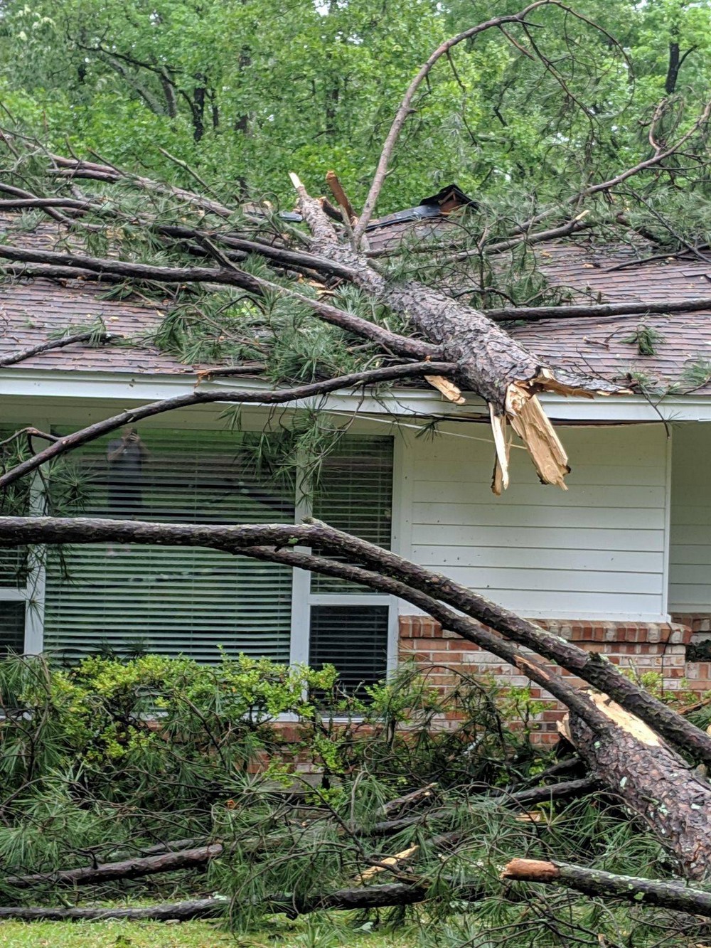 Bad Days Happen (25 pics)
