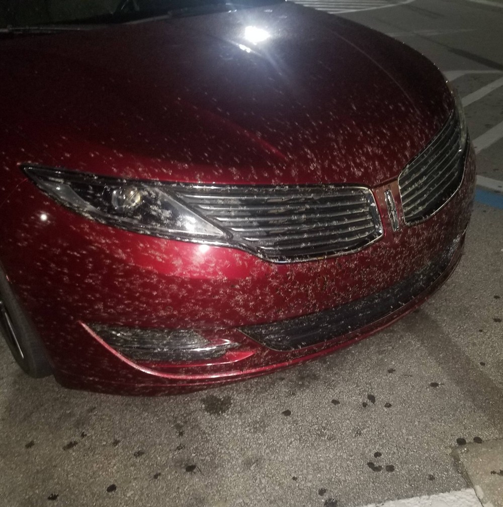 Bad Days Happen (25 pics)
