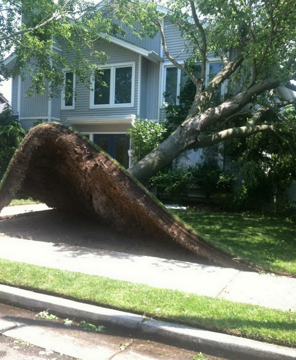 Bad Days Happen (25 pics)