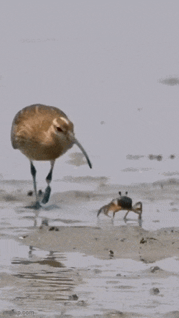 Acid GIFs, May 23 (25 gifs) Acid GIFs, May 23 (25 gifs)