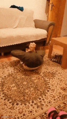Acid GIFs, May 23 (25 gifs) Acid GIFs, May 23 (25 gifs)
