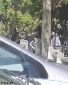 Acid GIFs, May 23 (25 gifs) Acid GIFs, May 23 (25 gifs)