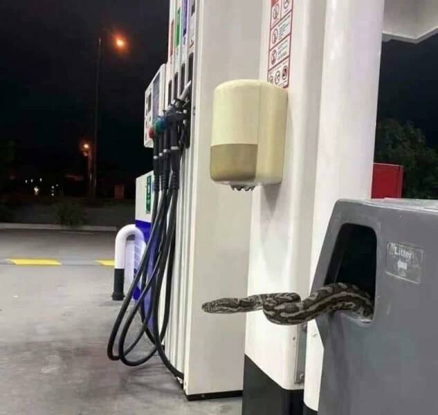 Daily Pictures. Part 1 (62 pics)