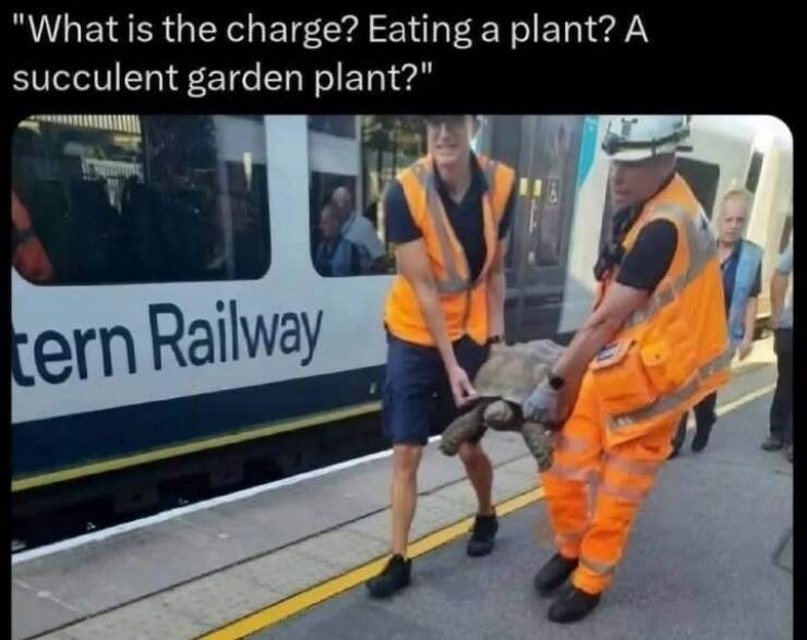 Daily Pictures. Part 2 (60 pics)