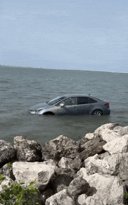Acid GIFs, May 26 (25 gifs)