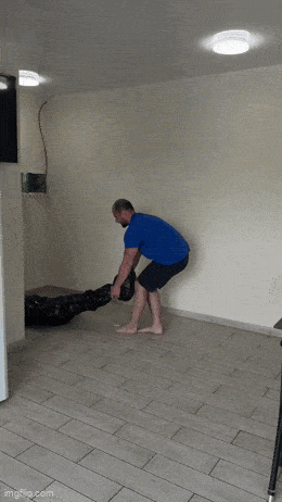 Acid GIFs, May 26 (25 gifs)