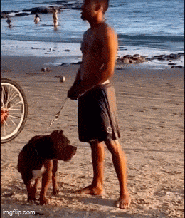 Acid GIFs, May 26 (25 gifs)