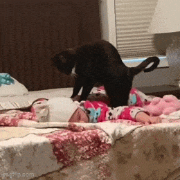 Acid GIFs, May 26 (25 gifs)