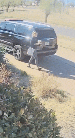 Acid GIFs, May 26 (25 gifs)