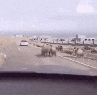 Acid GIFs, May 26 (25 gifs)