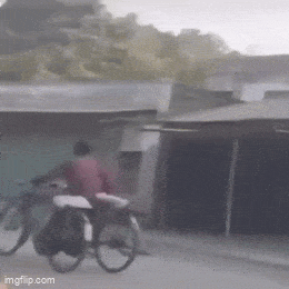 Acid GIFs, May 26 (25 gifs)