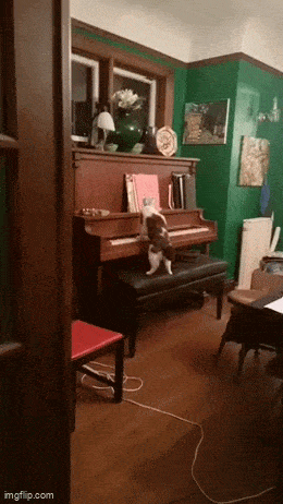 Acid GIFs, May 26 (25 gifs)