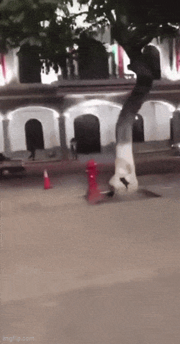 Acid GIFs, May 26 (25 gifs)