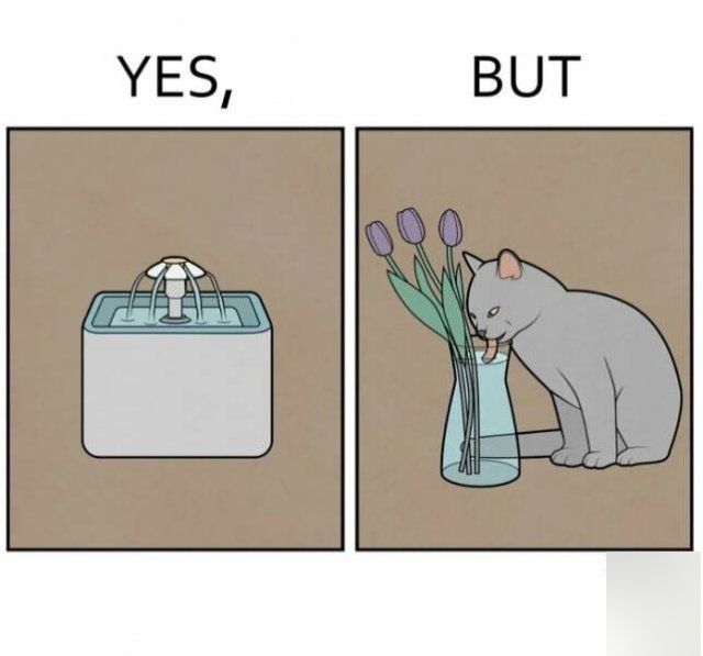 Truthful ''Yes, But'' Pictures (22 pics)