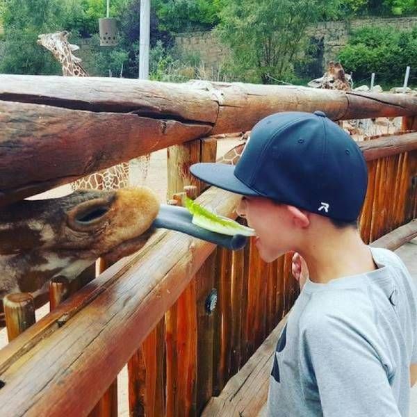 Daily Pictures. Part 1 (60 pics)
